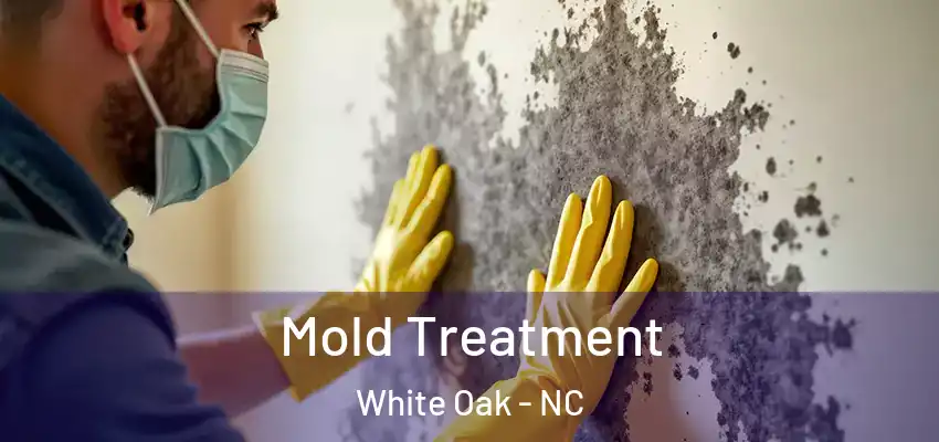 Mold Treatment White Oak - NC