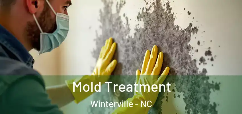 Mold Treatment Winterville - NC