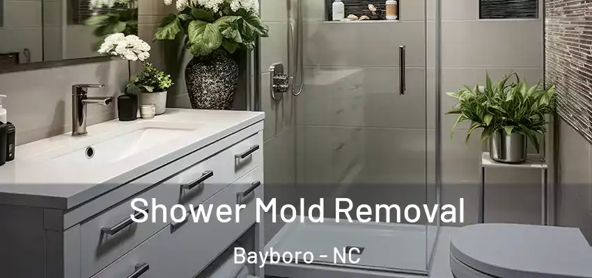 Shower Mold Removal Bayboro - NC