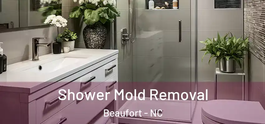  Shower Mold Removal Beaufort - NC
