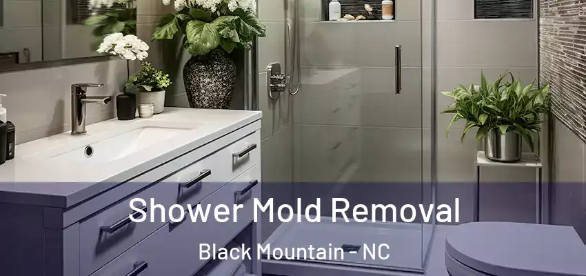  Shower Mold Removal Black Mountain - NC