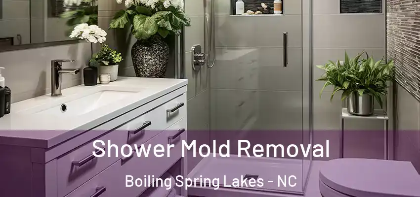  Shower Mold Removal Boiling Spring Lakes - NC