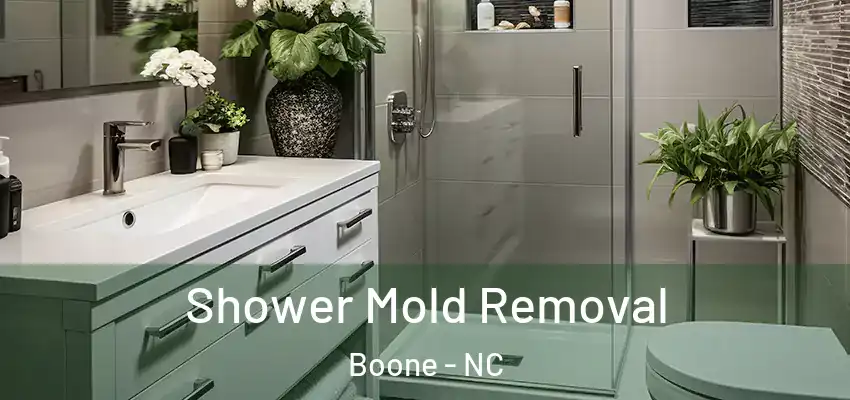 Shower Mold Removal Boone - NC
