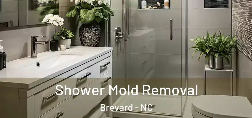  Shower Mold Removal Brevard - NC