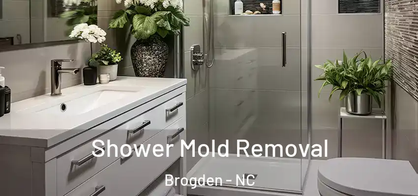  Shower Mold Removal Brogden - NC