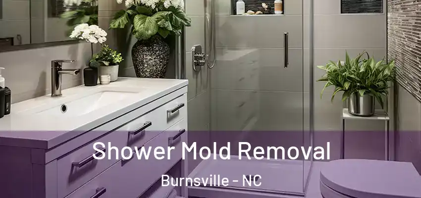  Shower Mold Removal Burnsville - NC