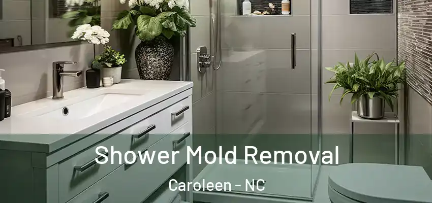  Shower Mold Removal Caroleen - NC
