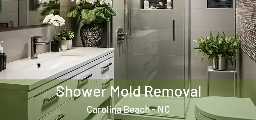  Shower Mold Removal Carolina Beach - NC