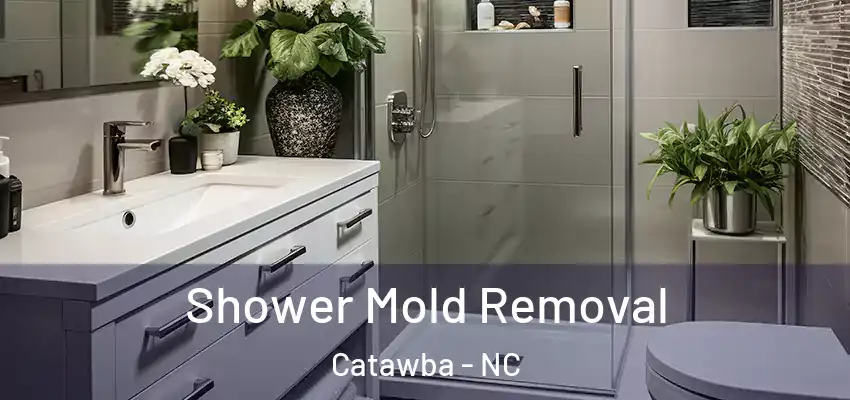  Shower Mold Removal Catawba - NC