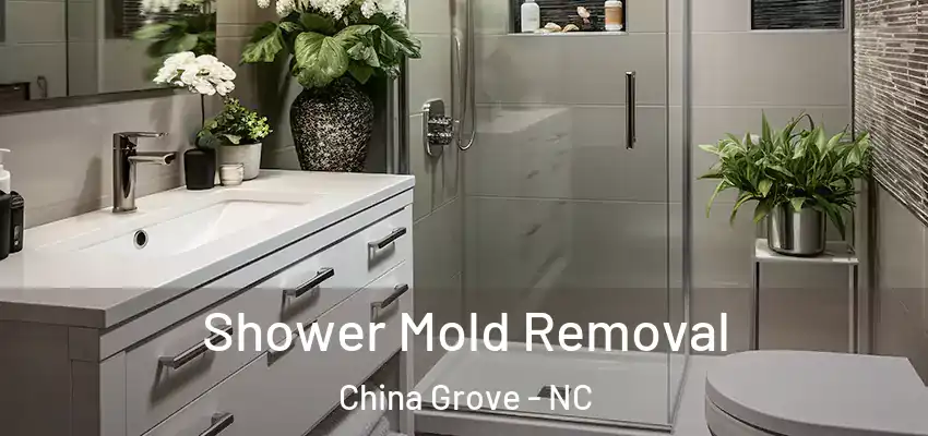  Shower Mold Removal China Grove - NC