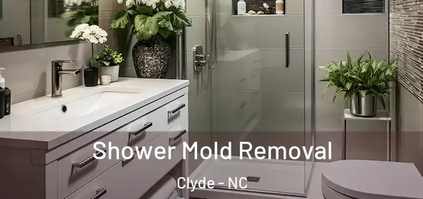  Shower Mold Removal Clyde - NC