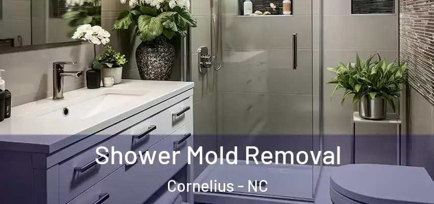 Shower Mold Removal Cornelius - NC