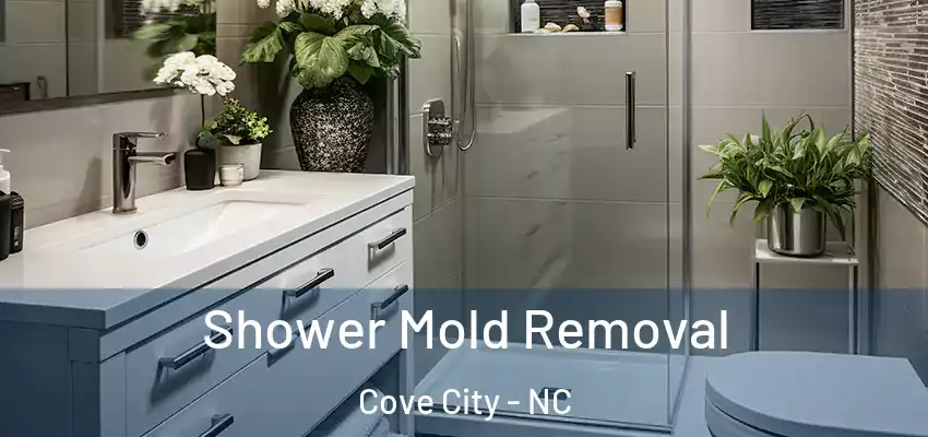 Shower Mold Removal Cove City - NC