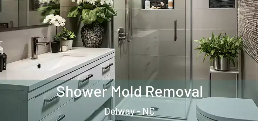  Shower Mold Removal Delway - NC