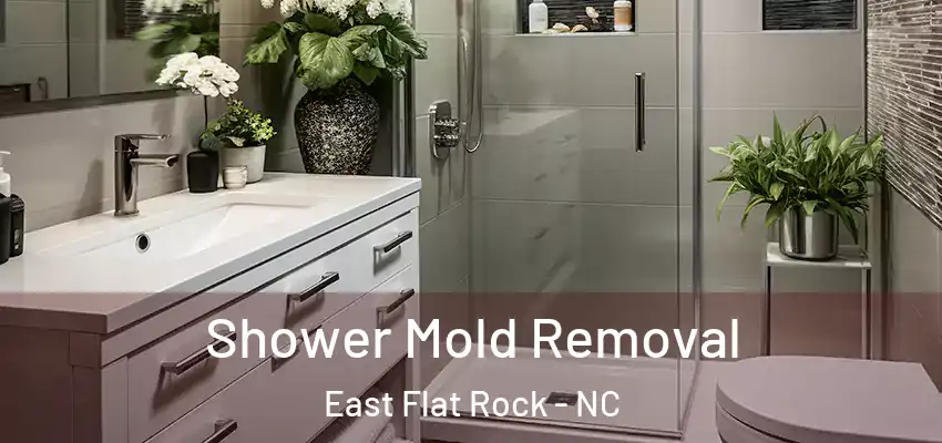 Shower Mold Removal East Flat Rock - NC