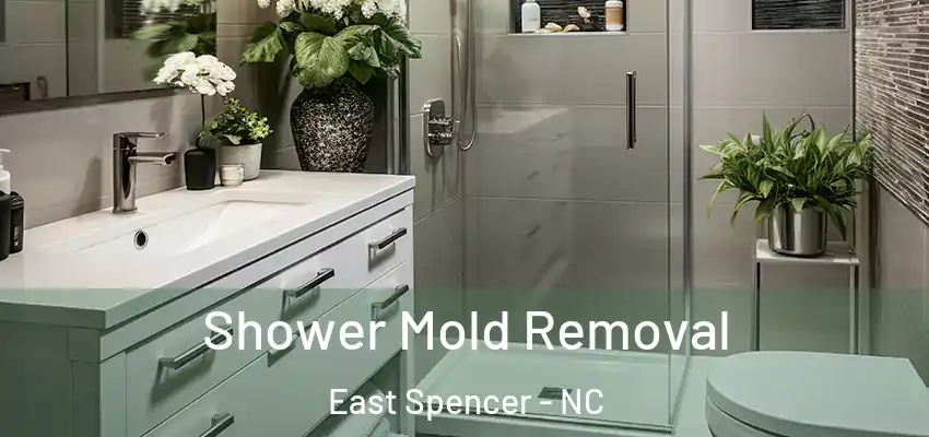  Shower Mold Removal East Spencer - NC