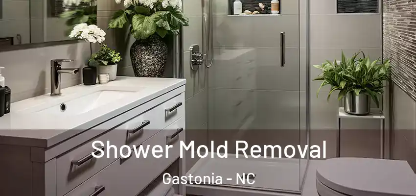 Shower Mold Removal Gastonia - NC