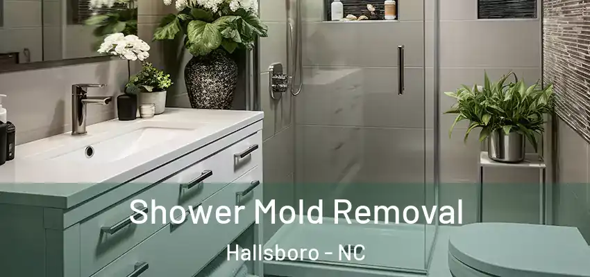 Shower Mold Removal Hallsboro - NC