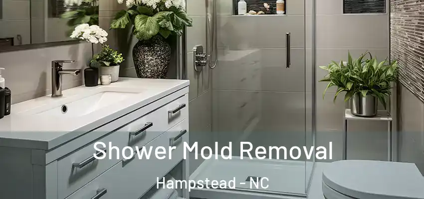  Shower Mold Removal Hampstead - NC