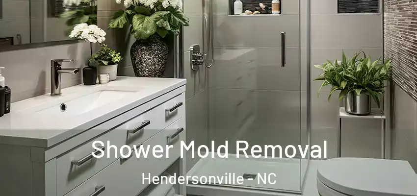  Shower Mold Removal Hendersonville - NC