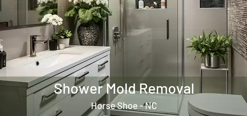  Shower Mold Removal Horse Shoe - NC