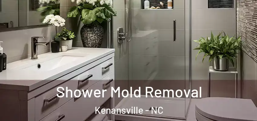  Shower Mold Removal Kenansville - NC