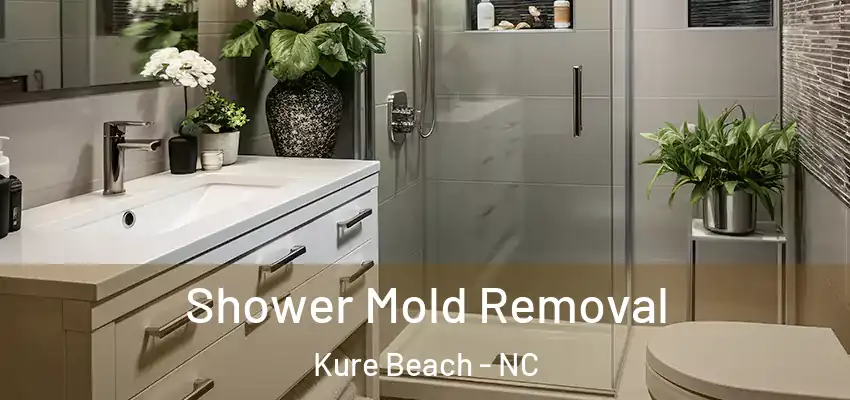  Shower Mold Removal Kure Beach - NC