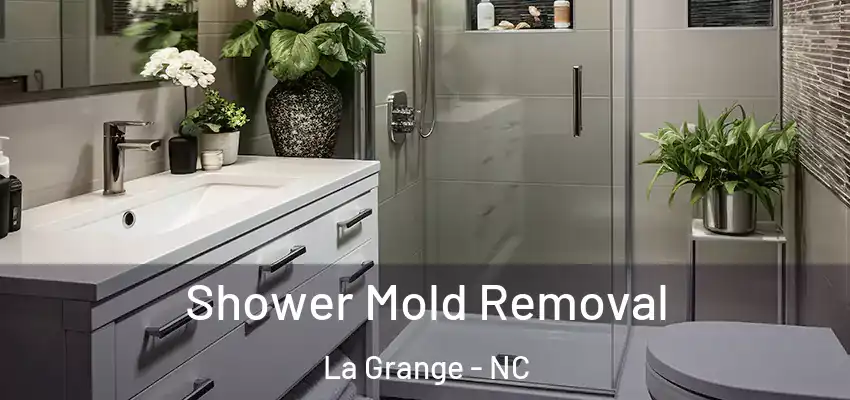  Shower Mold Removal La Grange - NC