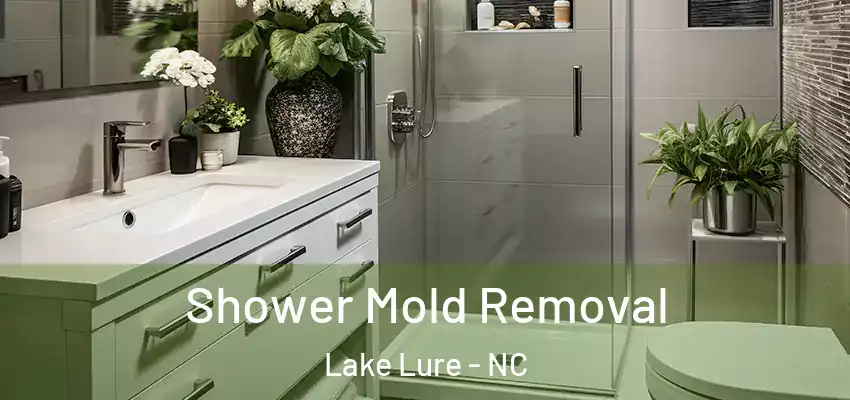 Shower Mold Removal Lake Lure - NC