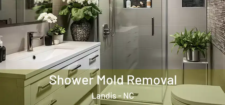 Shower Mold Removal Landis - NC
