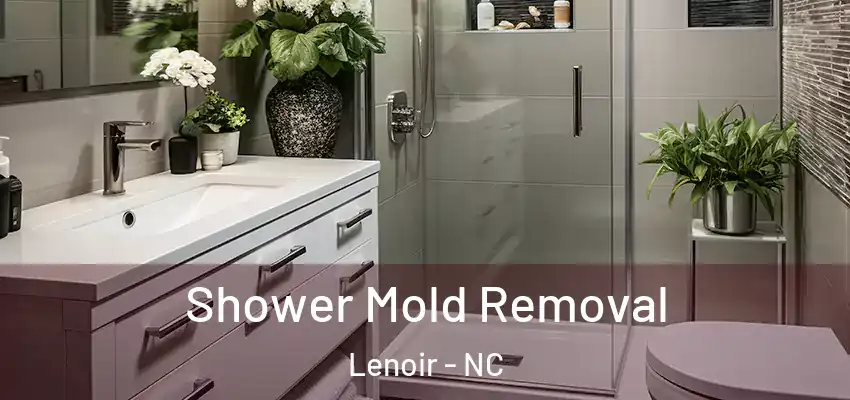  Shower Mold Removal Lenoir - NC