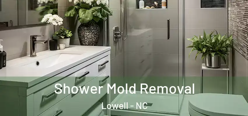  Shower Mold Removal Lowell - NC