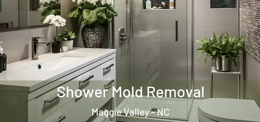  Shower Mold Removal Maggie Valley - NC