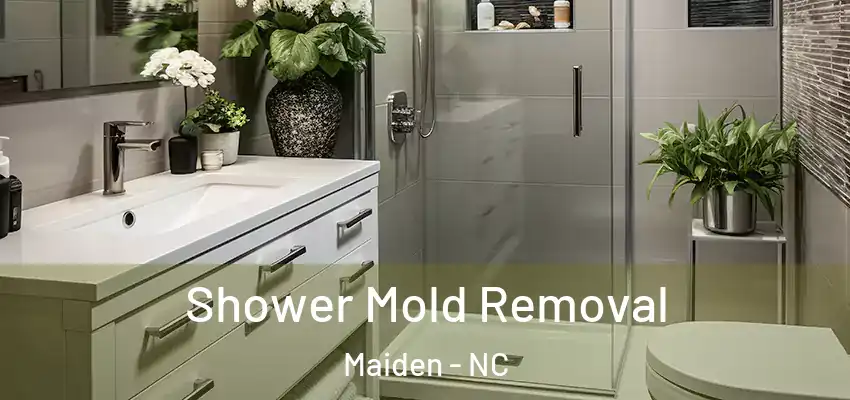  Shower Mold Removal Maiden - NC