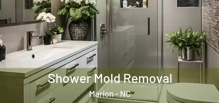 Shower Mold Removal Marion - NC