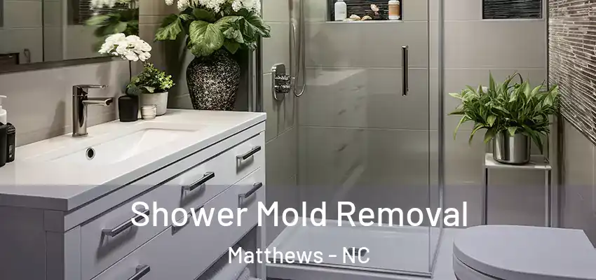  Shower Mold Removal Matthews - NC
