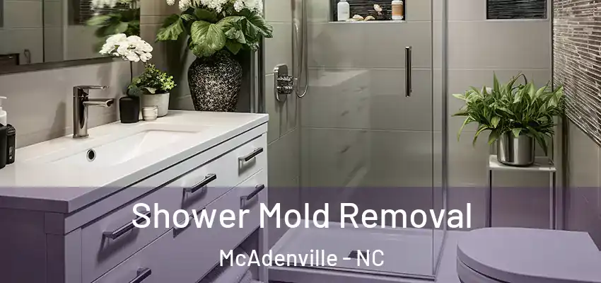  Shower Mold Removal McAdenville - NC
