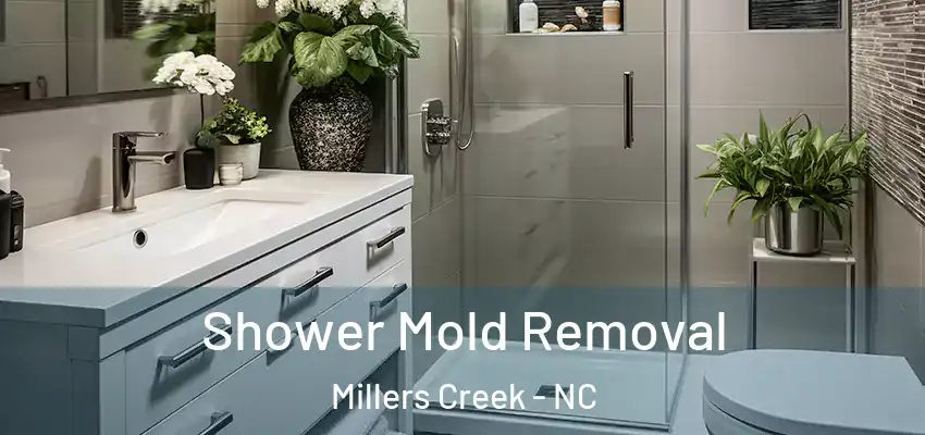  Shower Mold Removal Millers Creek - NC