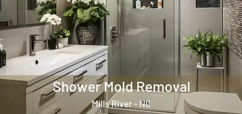  Shower Mold Removal Mills River - NC
