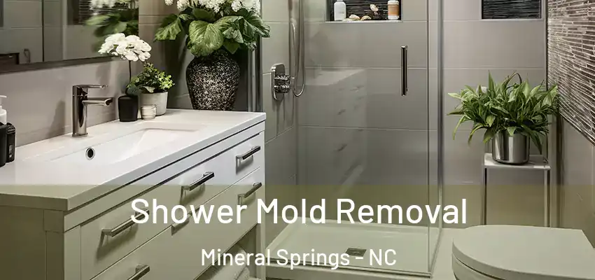  Shower Mold Removal Mineral Springs - NC