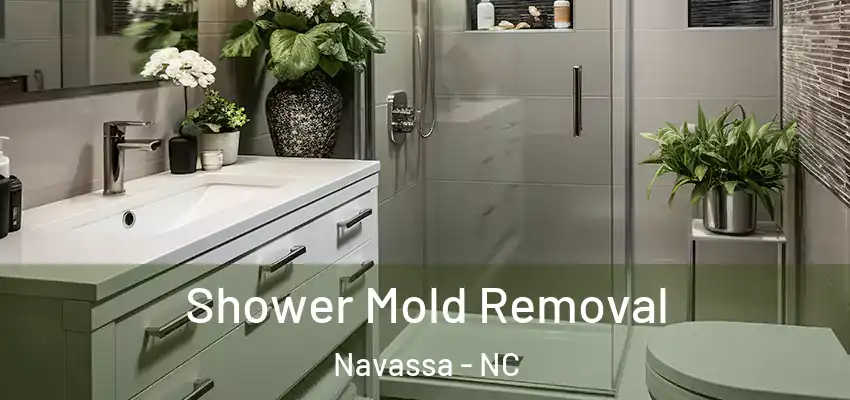  Shower Mold Removal Navassa - NC