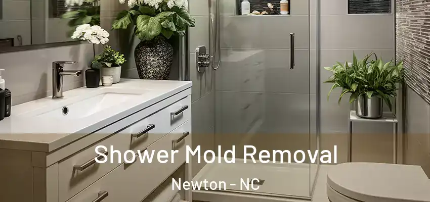  Shower Mold Removal Newton - NC