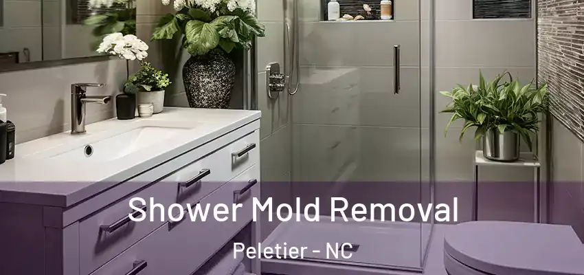 Shower Mold Removal Peletier - NC