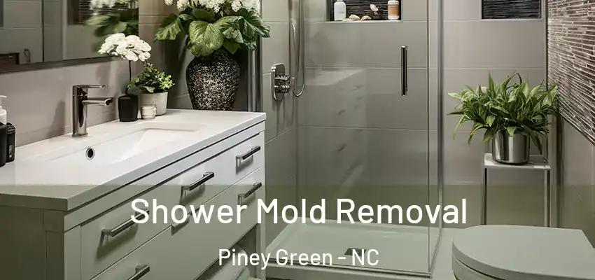  Shower Mold Removal Piney Green - NC