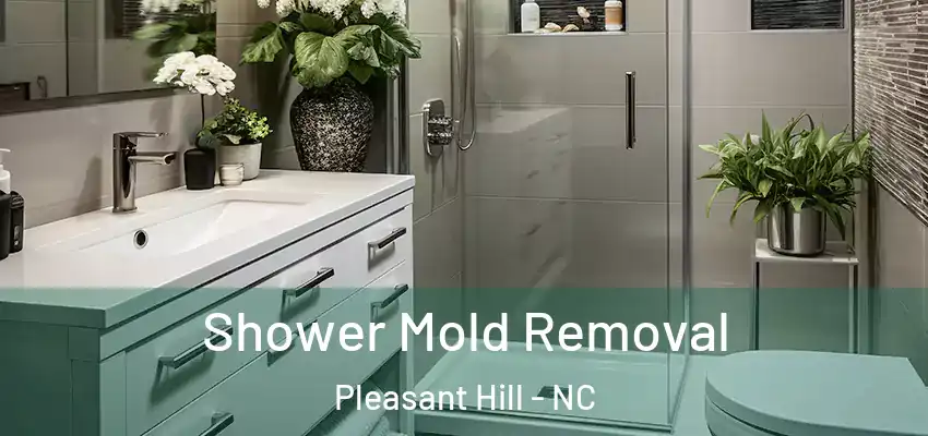  Shower Mold Removal Pleasant Hill - NC