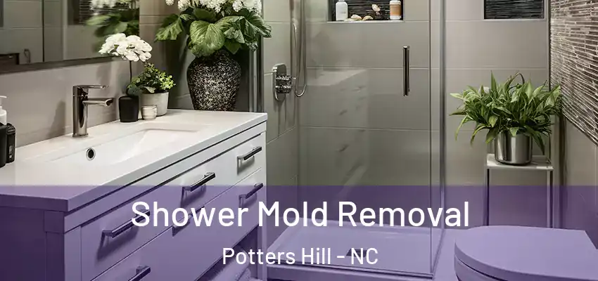 Shower Mold Removal Potters Hill - NC