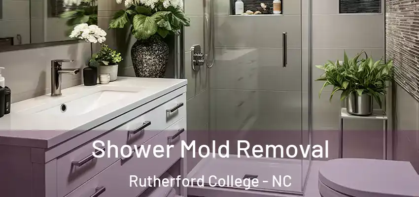 Shower Mold Removal Rutherford College - NC