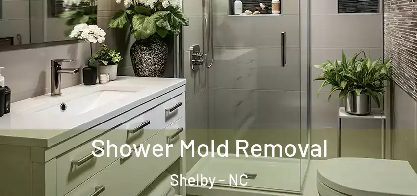  Shower Mold Removal Shelby - NC