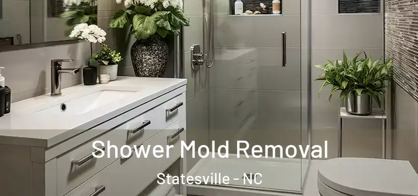 Shower Mold Removal Statesville - NC