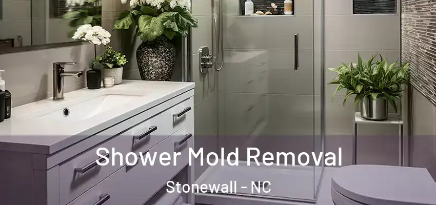  Shower Mold Removal Stonewall - NC